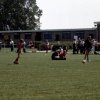 rava 1977 tm 1988